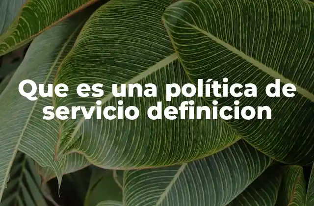Que es una Política de Servicio Definicion