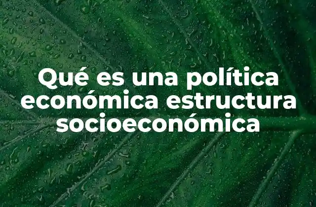 Qué es una Política Económica Estructura Socioeconómica