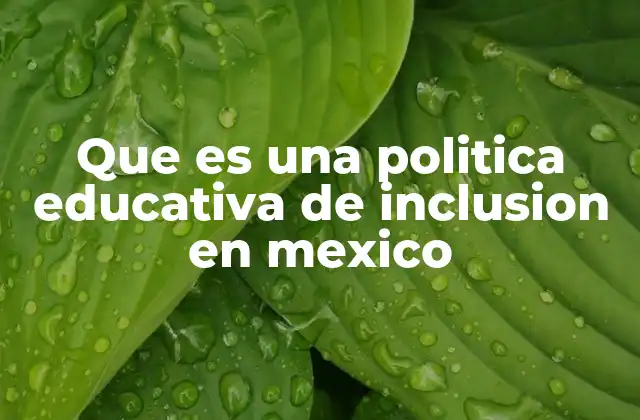 Que es una Politica Educativa de Inclusion en Mexico