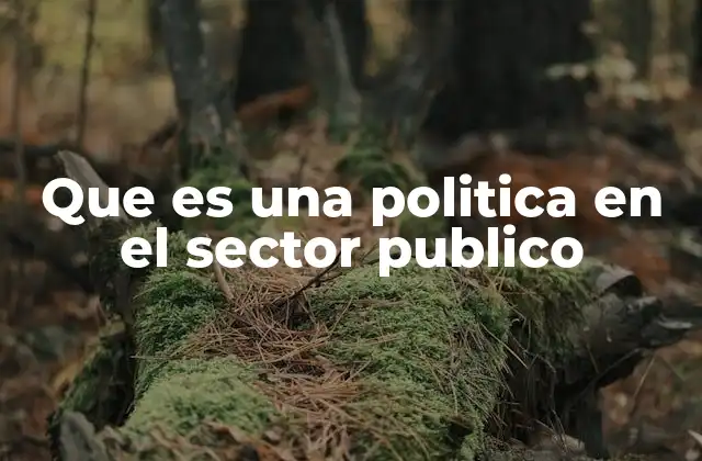 Que es una Politica en el Sector Publico