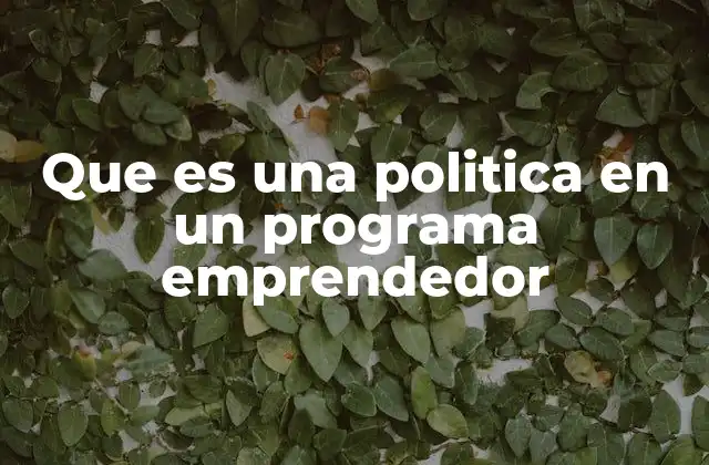 Que es una Politica en un Programa Emprendedor