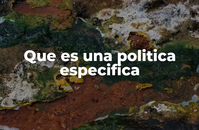 Que es una Politica Especifica