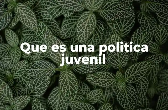 Que es una Politica Juvenil