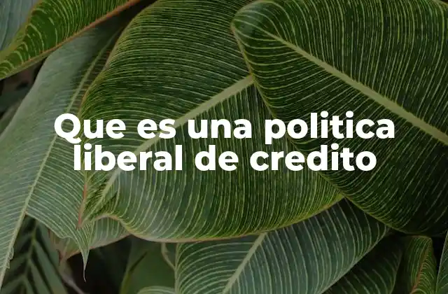 Que es una Politica Liberal de Credito
