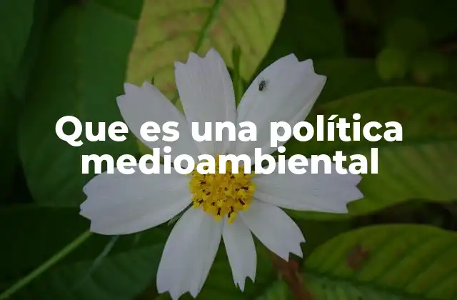 Que es una Política Medioambiental