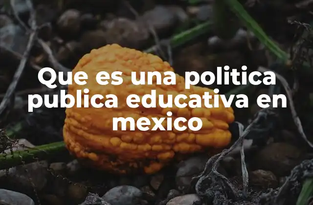 Que es una Politica Publica Educativa en Mexico