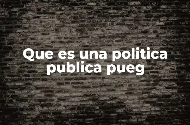 Que es una Politica Publica Pueg