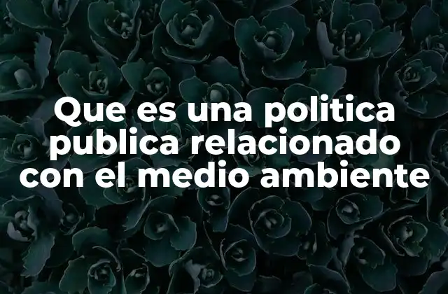 Que es una Politica Publica Relacionado con el Medio Ambiente