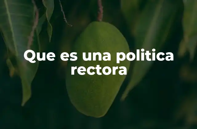 Que es una Politica Rectora