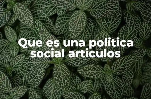 Que es una Politica Social Articulos