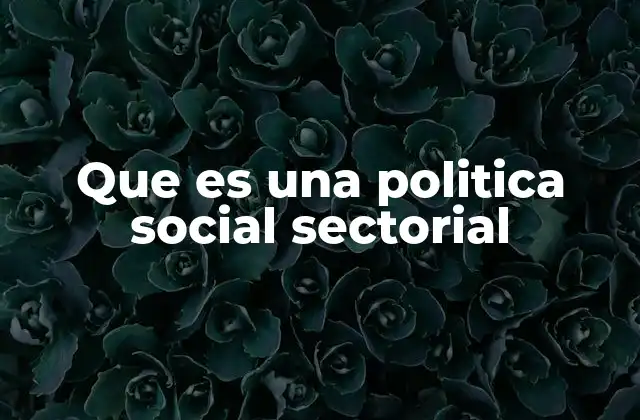 Que es una Politica Social Sectorial