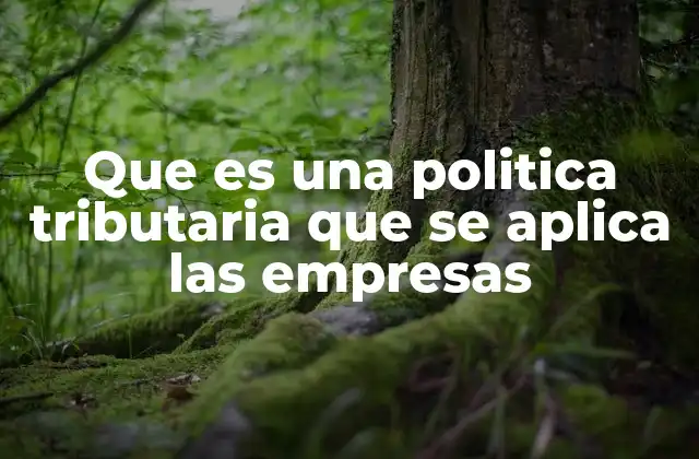 Que es una Politica Tributaria que Se Aplica las Empresas