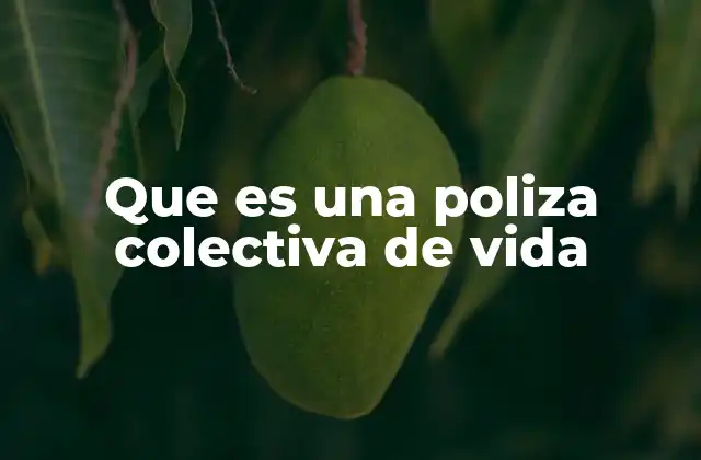 Que es una Poliza Colectiva de Vida