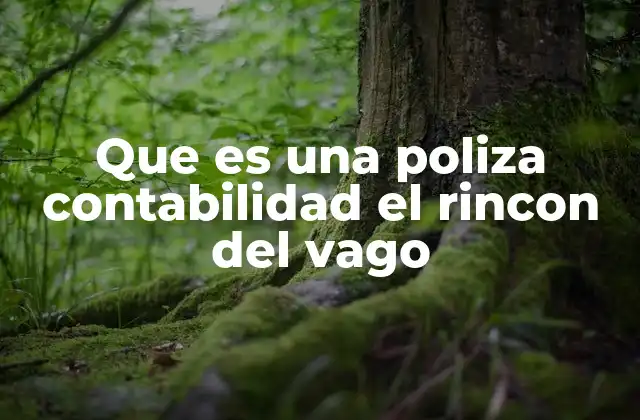 Que es una Poliza Contabilidad el Rincon Del Vago