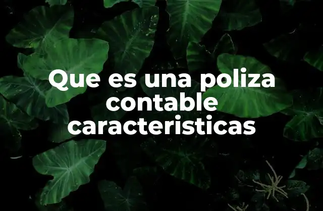 El papel de las polizas contables en la contabilidad