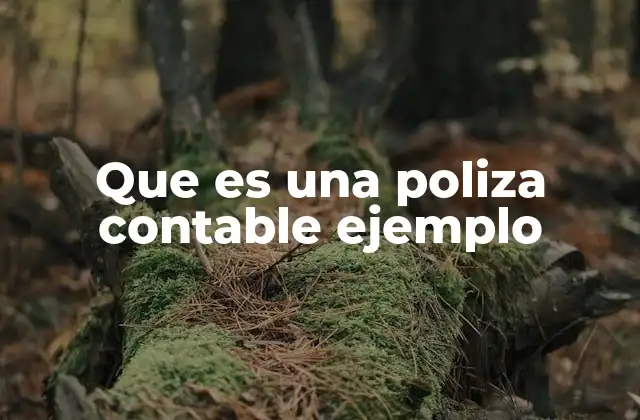 Que es una Poliza Contable Ejemplo