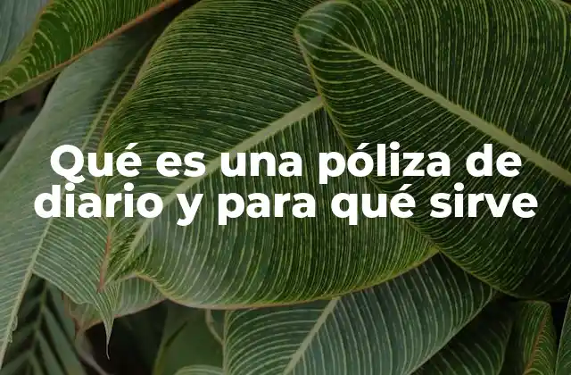 Qué es una Póliza de Diario y para Qué Sirve