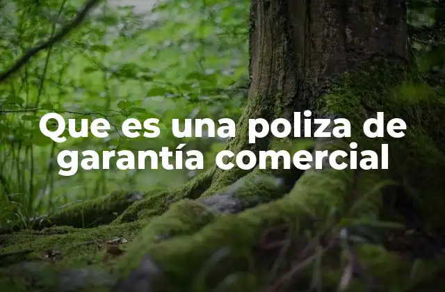 Que es una Poliza de Garantía Comercial