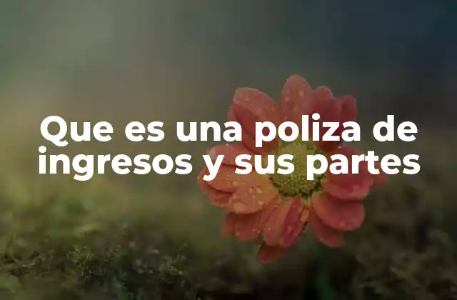 Que es una Poliza de Ingresos y Sus Partes