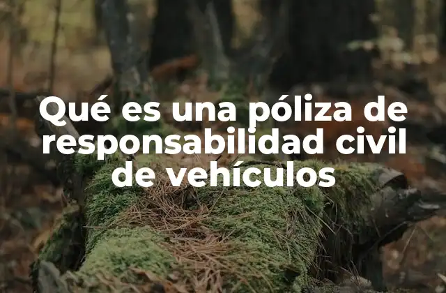 Qué es una Póliza de Responsabilidad Civil de Vehículos 2 La importancia de contar con una póliza de responsabilidad civil