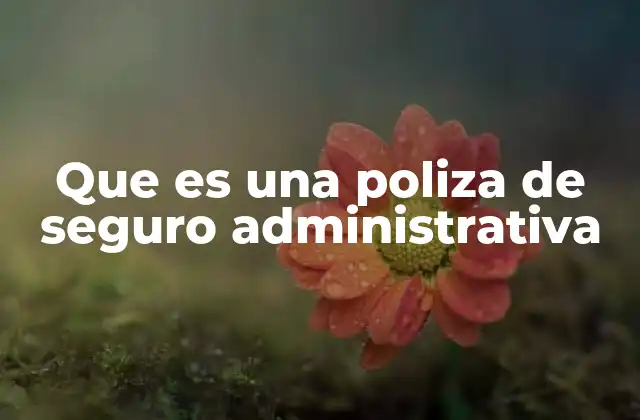 Que es una Poliza de Seguro Administrativa 2 La importancia de la protección legal en la gestión empresarial