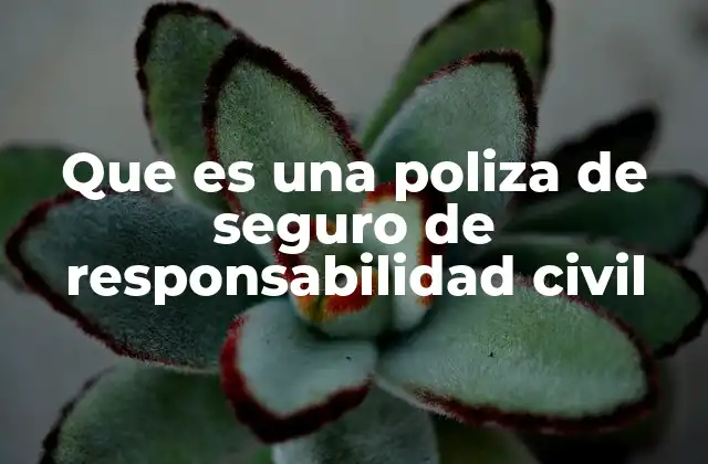 Que es una Poliza de Seguro de Responsabilidad Civil