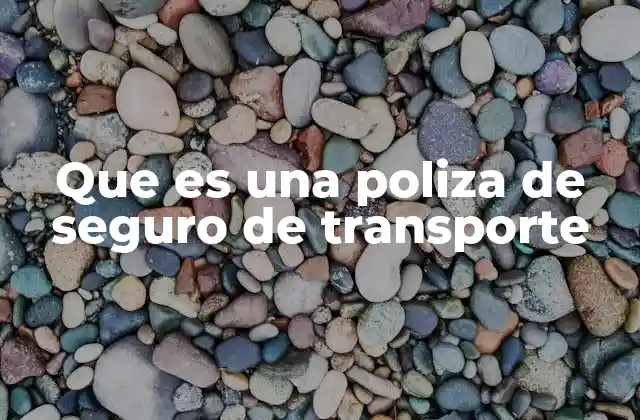 Que es una Poliza de Seguro de Transporte