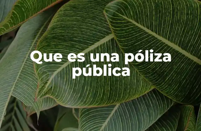 Que es una Póliza Pública