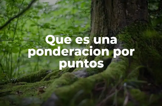 Que es una Ponderacion por Puntos