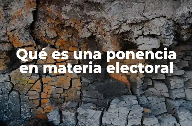 Qué es una Ponencia en Materia Electoral