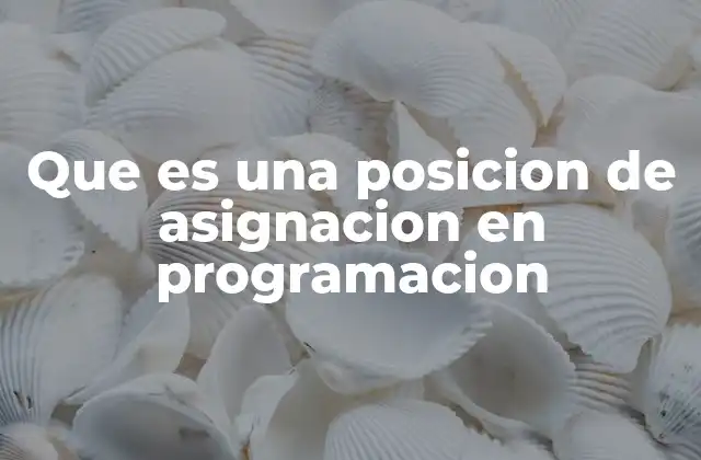 Que es una Posicion de Asignacion en Programacion