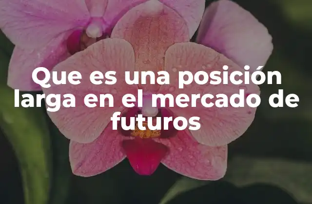 Que es una Posición Larga en el Mercado de Futuros