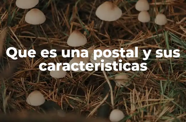 Que es una Postal y Sus Caracteristicas