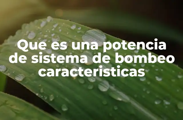 Que es una Potencia de Sistema de Bombeo Caracteristicas
