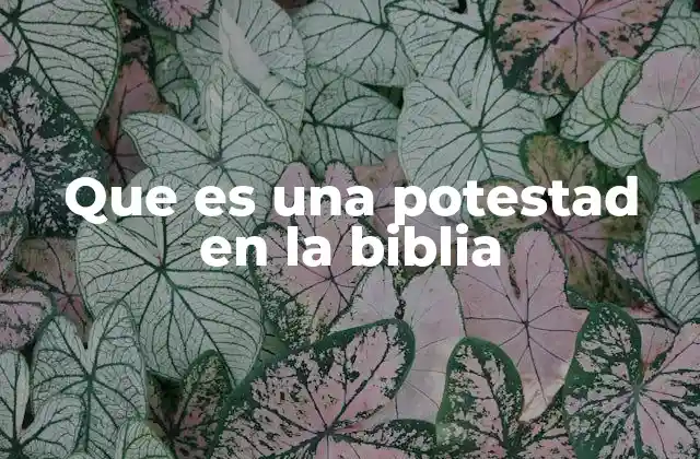 Que es una Potestad en la Biblia