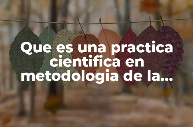 Que es una Practica Cientifica en Metodologia de la Investigacion