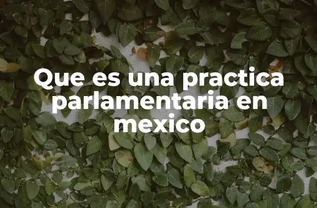 Que es una Practica Parlamentaria en Mexico