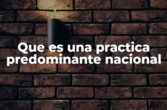 Que es una Practica Predominante Nacional