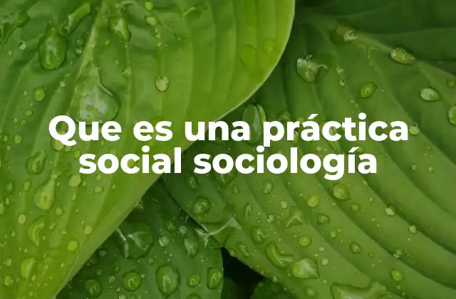 Que es una Práctica Social Sociología