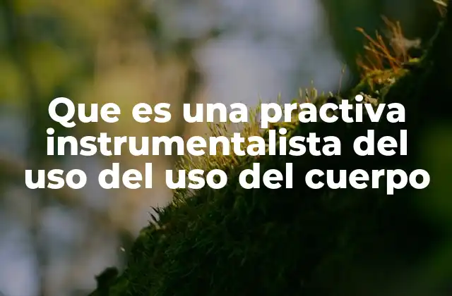 Que es una Practiva Instrumentalista Del Uso Del Uso Del Cuerpo