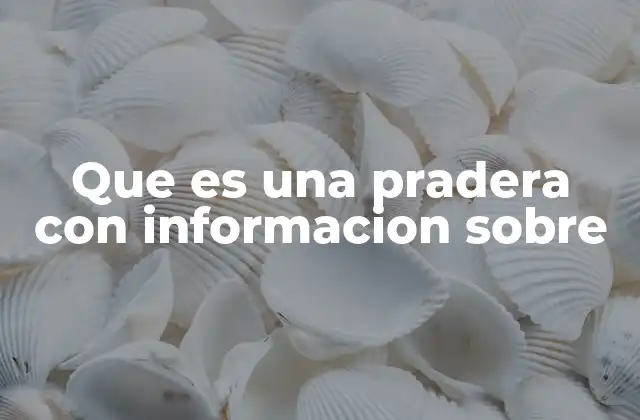 Que es una Pradera con Informacion sobre