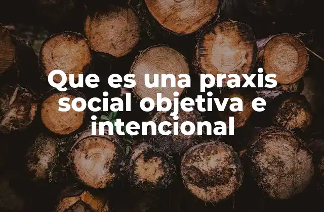 Que es una Praxis Social Objetiva e Intencional