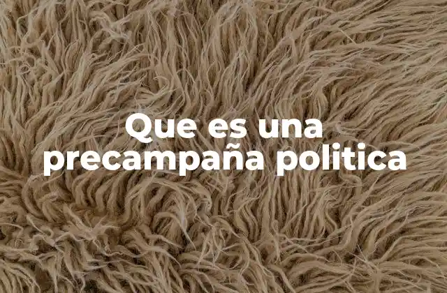 Que es una Precampaña Politica