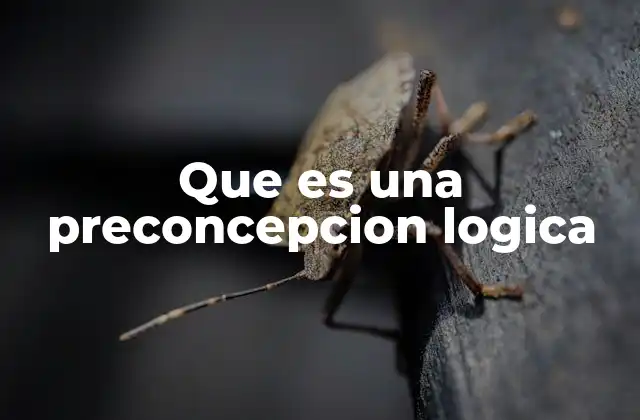 Que es una Preconcepcion Logica