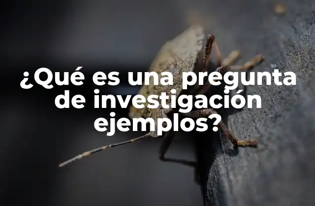 ¿Por qué son importantes las preguntas de investigación ejemplos?