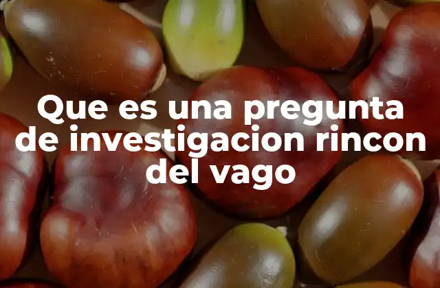 Que es una Pregunta de Investigacion Rincon Del Vago