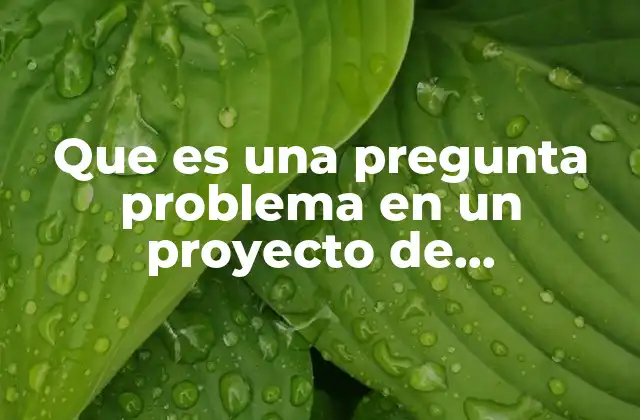Que es una Pregunta Problema en un Proyecto de Investigacion