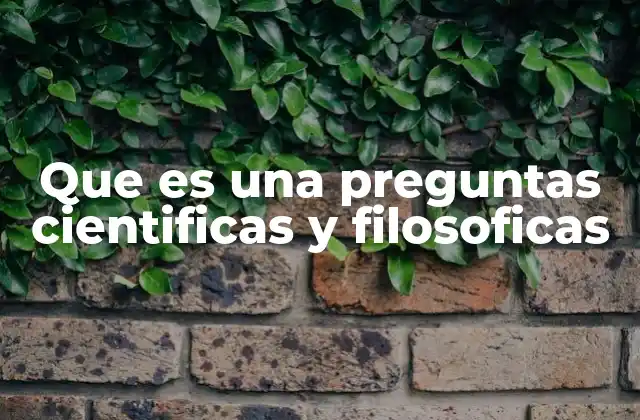 Que es una Preguntas Cientificas y Filosoficas
