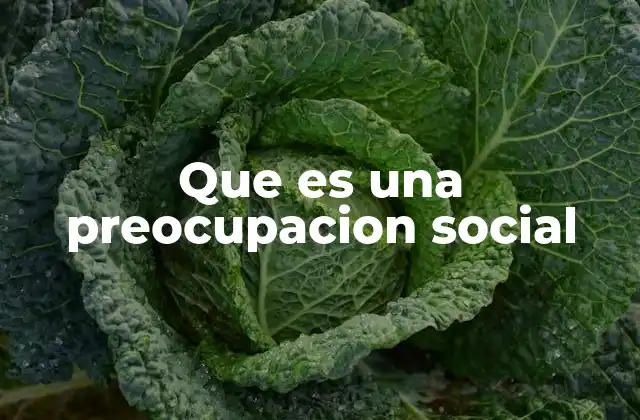 Que es una Preocupacion Social 2 Cómo identificar una preocupación social relevante