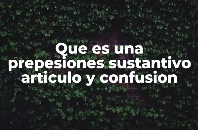 Que es una Prepesiones Sustantivo Articulo y Confusion
